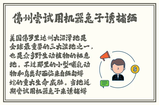 国产精品黄在线观看免费软件